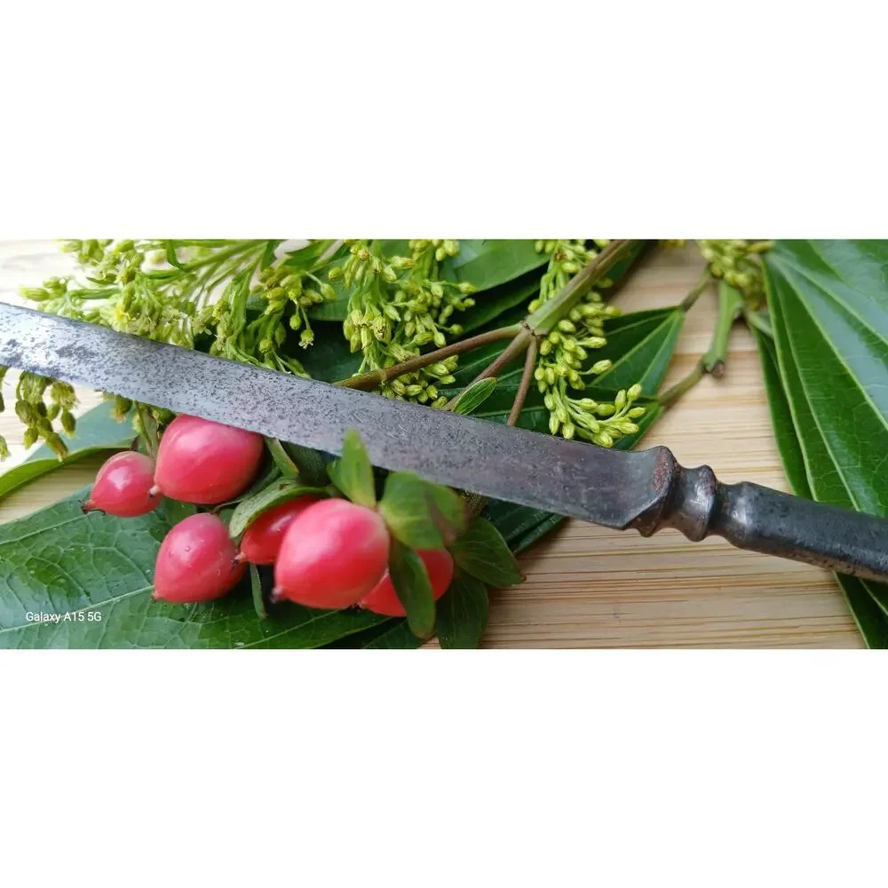 Vintage cutlery Rodgers Bro butter knife